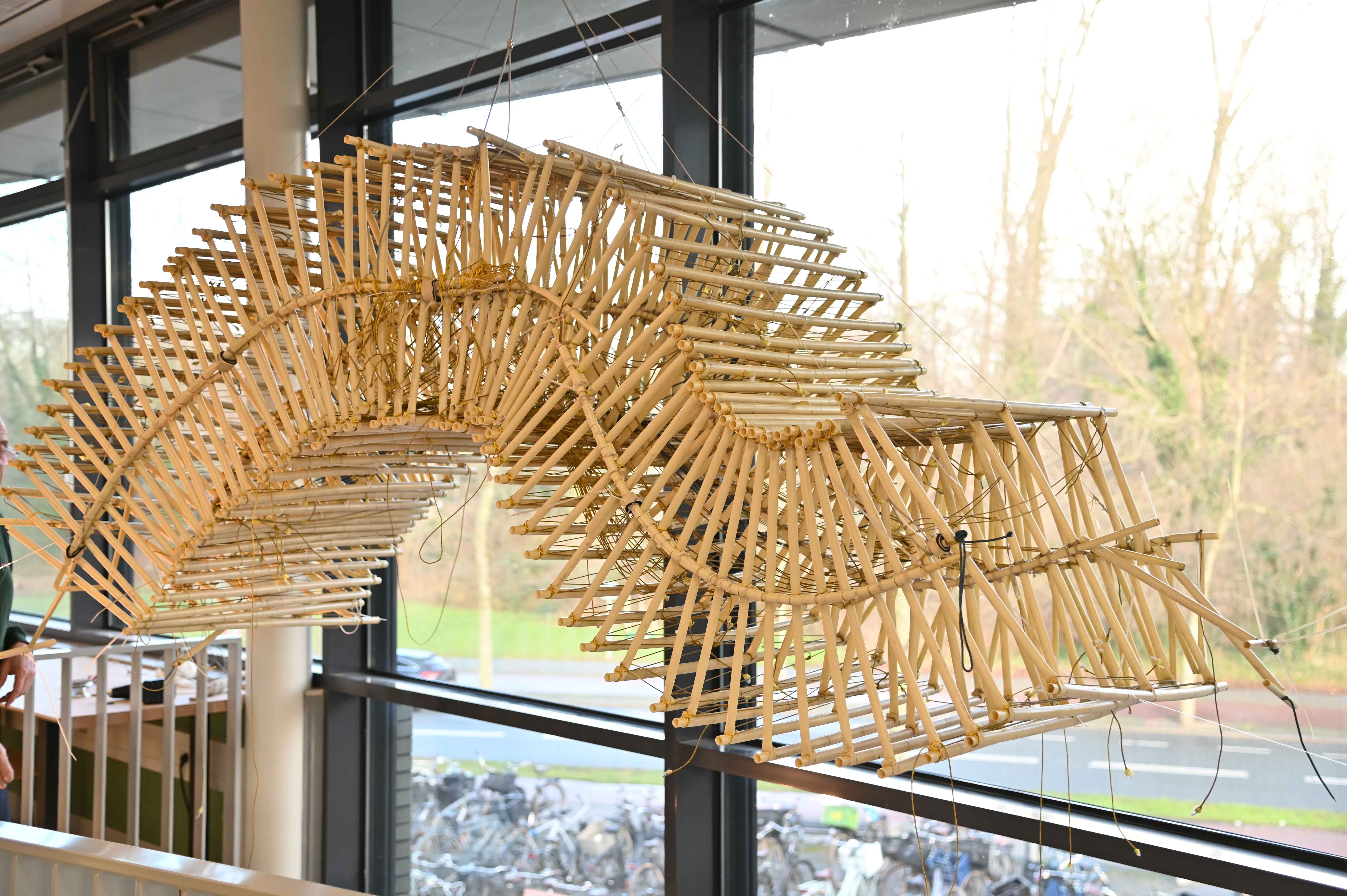 Strandbeesten op Sorghvliet